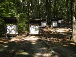 Archery Range