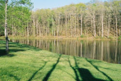 Large Pond